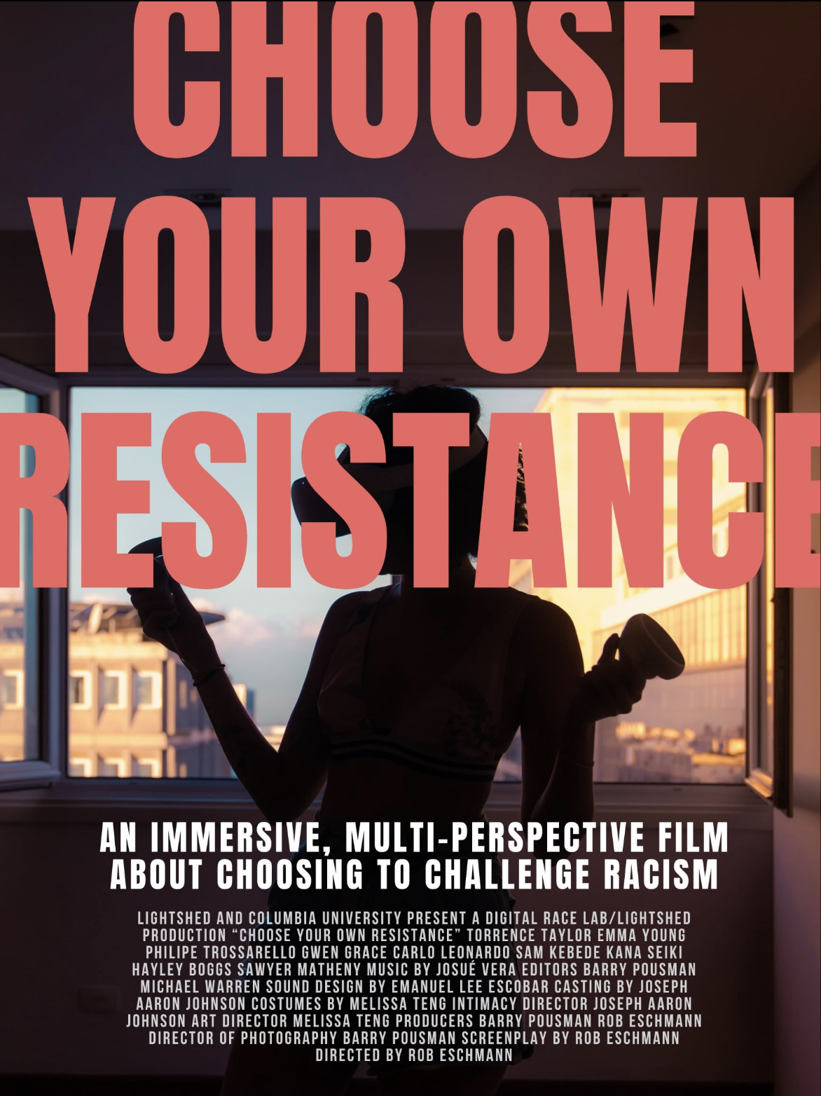 Choose Your Own Resistance poster